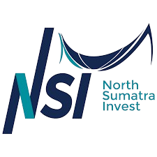NSI Logo